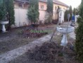 /album/kepgaleria-vecses-kert-takaritas-/img-20140310-162301-masolas-2-jpg/